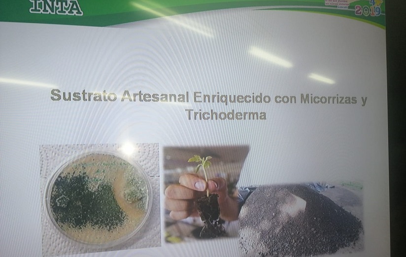 INTA1